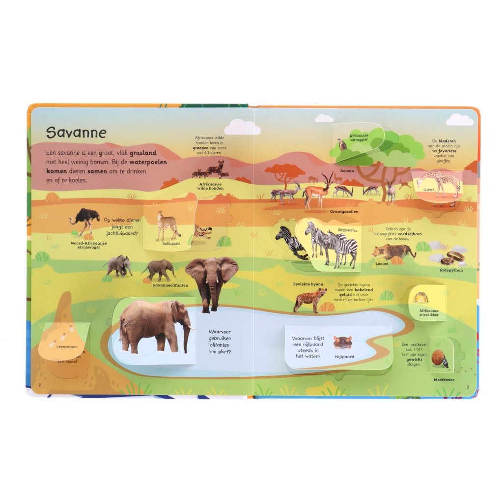 Overige Merken Boek Mijn Grote Flapjesboek Van Alle Dieren