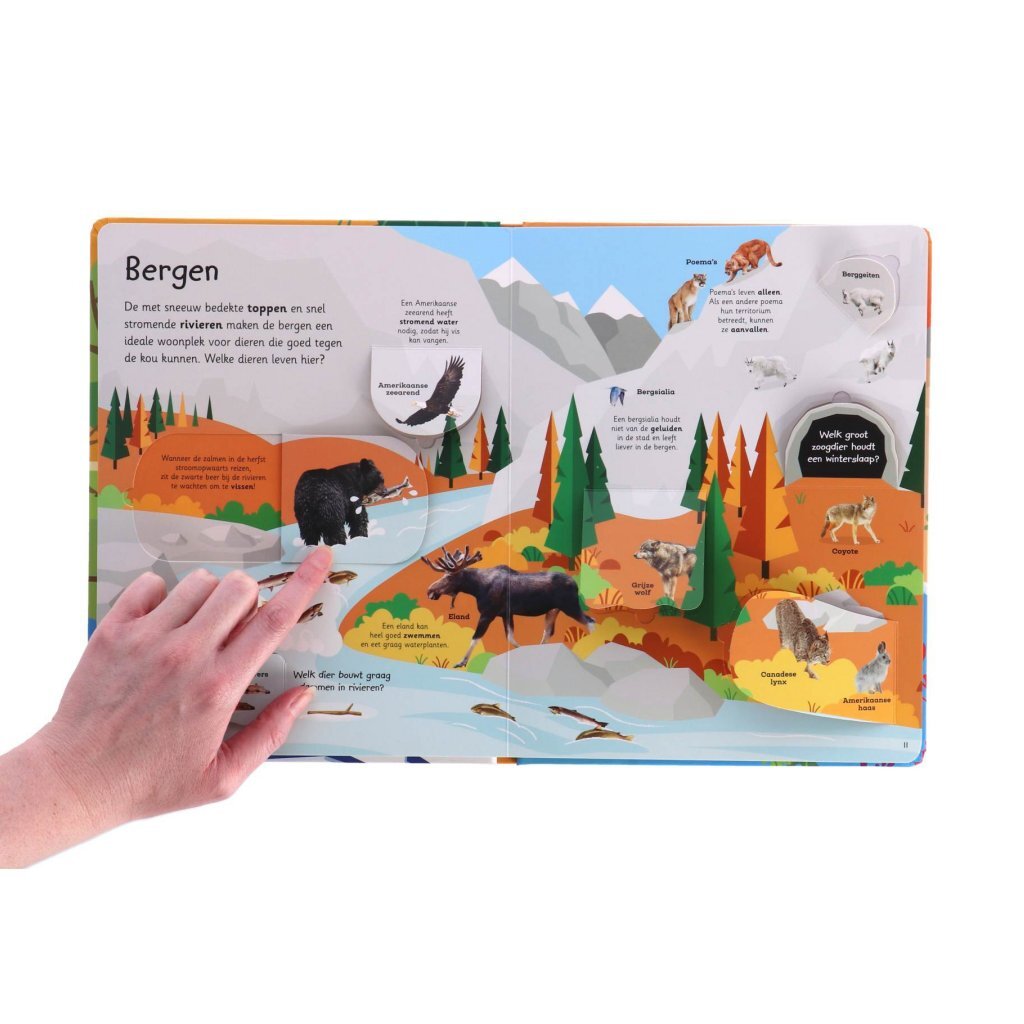 Overige Merken Boek Mijn Grote Flapjesboek Van Alle Dieren